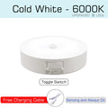 Motion Sensor Light USB Rechargeable
