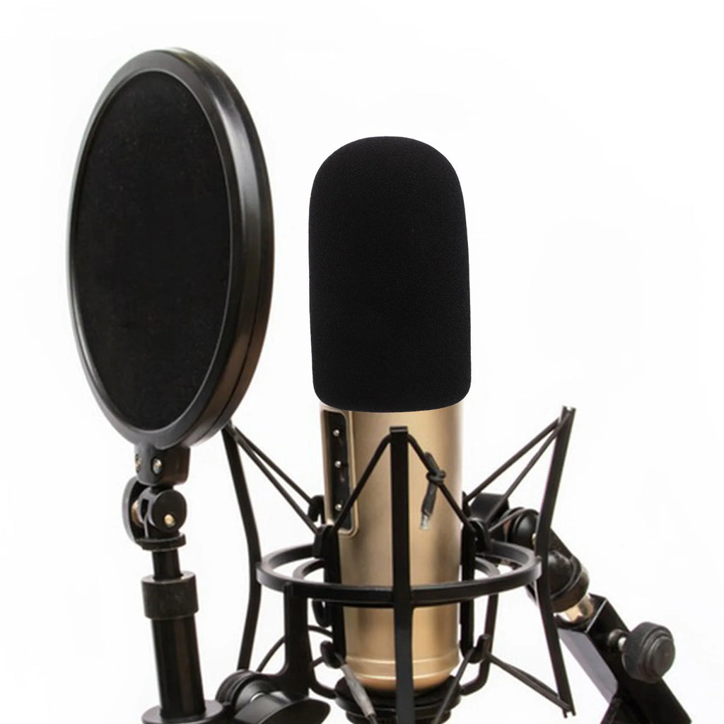 Microphone Pop Filter